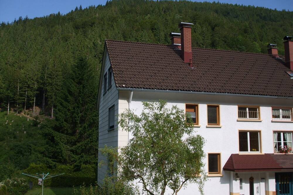 Ganze Wohnung, Ferienwohnung/App. für 5 Gäste mit 50m² in Todtnau in Todtnau, Südschwarzwald