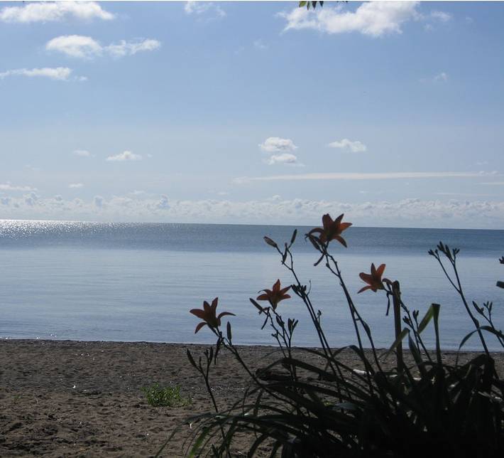 Glamping for 11 people, with garden, with pets in Ontario
