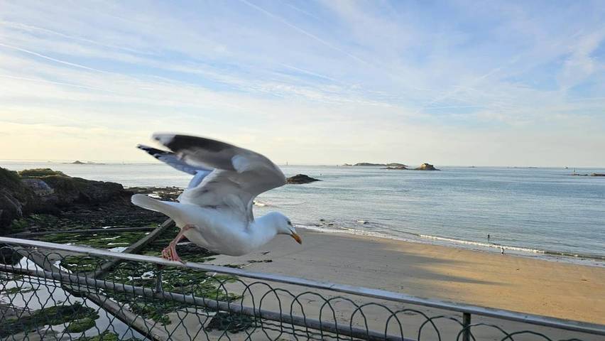 Gîte pour 2 personnes, avec vue et jardin dans Saint-Énogat - 4