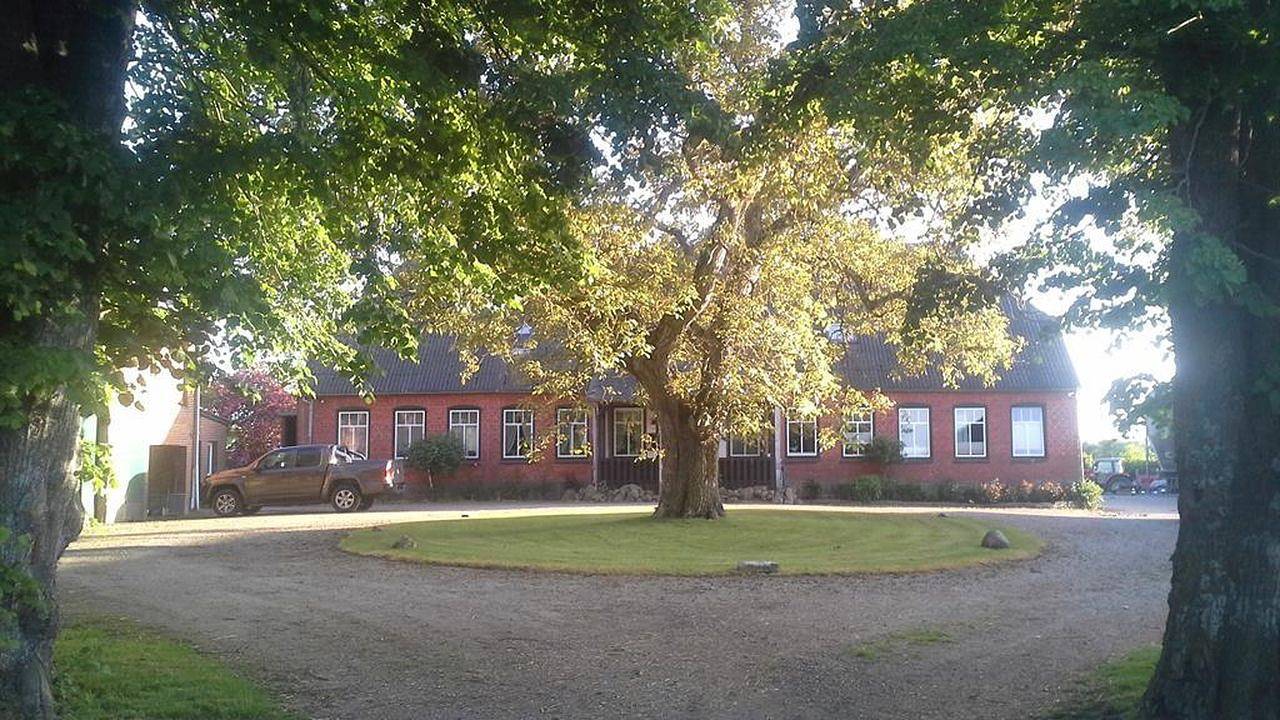 Ganze Ferienwohnung, Ferienwohnung für 4 Personen (65 m²) in Langballig in Langballig, Schleswig-Flensburg