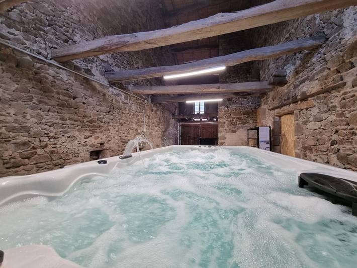 Geräumiges Gîte mit Jacuzzi und Haustiere Erlaubt, Bis 12 Pers in Le Crozet, Roanne und Umgebung