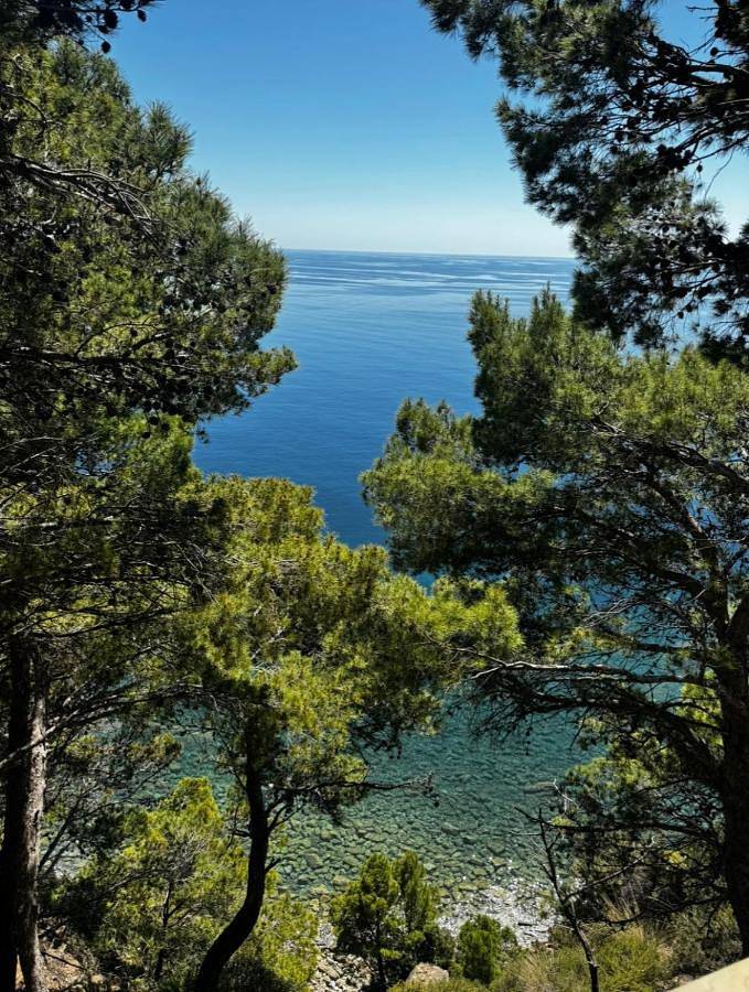Casa vacanza per 6 persone, con Balcone e Terrazza nonché Giardino e Panorama a Montecorice