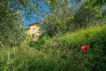 Casa Vacanza per 5 Persone in Podenzana, Massa-Carrara, Foto 4