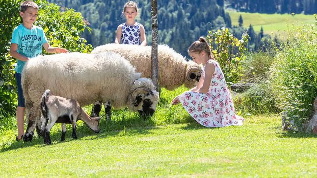 Ganze Ferienwohnung, Ferienwohnung für 2 Personen (33 m²) in Fieberbrunn in Fieberbrunn, Bezirk Kitzbühel