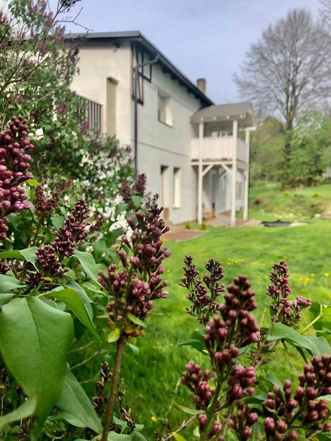 Slow life Karkonosze in Wojcieszyce, Sudety (Polska)