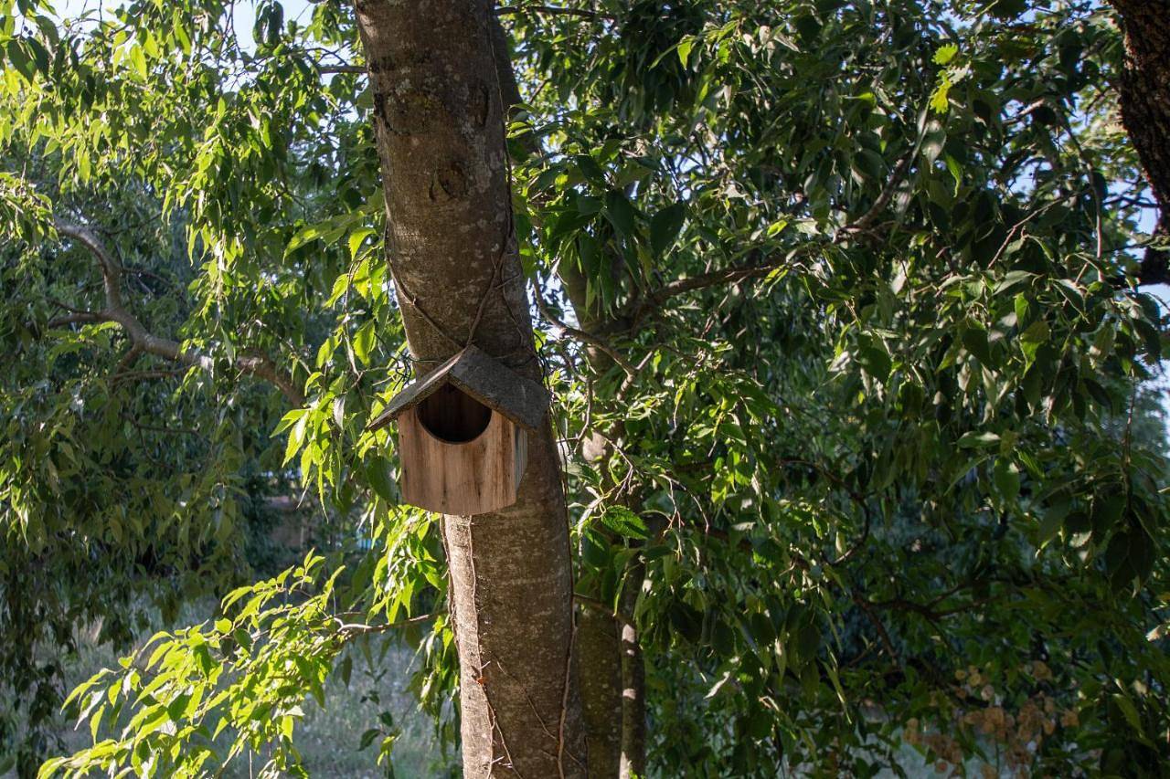 Le Chant des Tongs - La Canopée in Salazac, Région de Nîmes