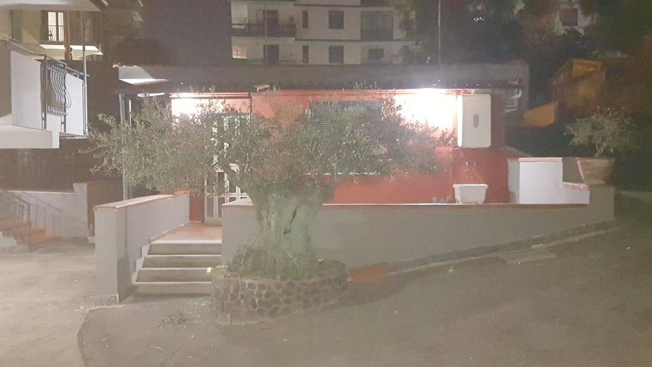 Bed & Breakfast Neapolis in Ercolano, Parco nazionale del Vesuvio