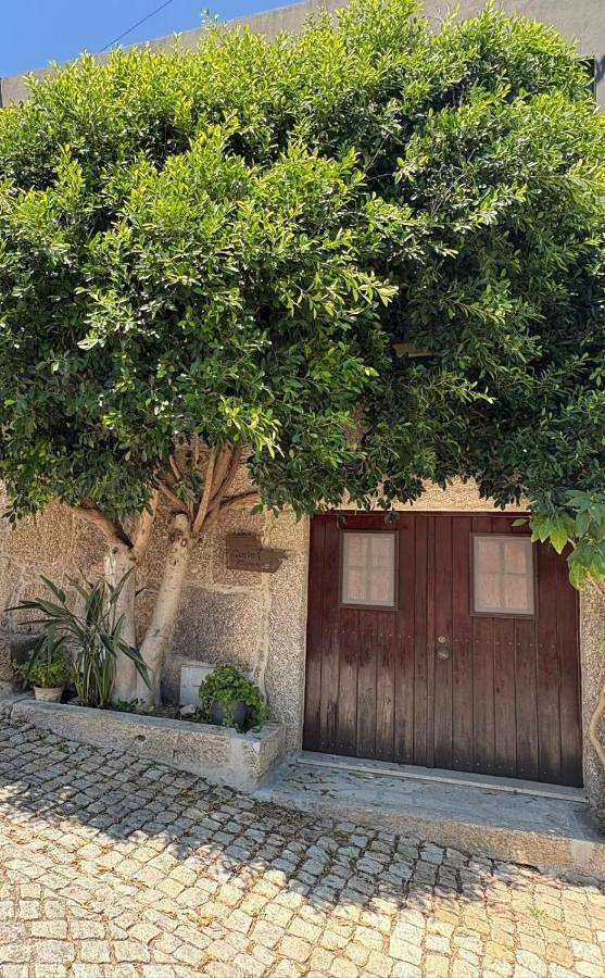 Gîte pour 6 personnes, avec vue et balcon dans Zebras