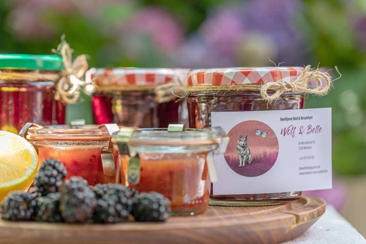 Location de vacances pour 2 personnes, avec vue ainsi que jardin et terrasse à Westerlo - 2