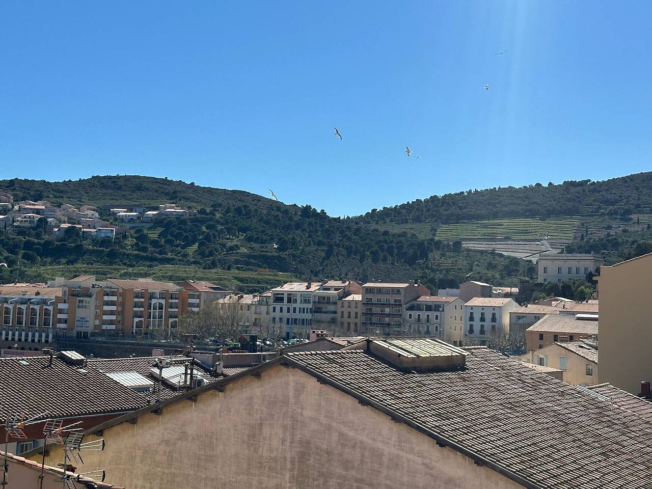 Apartamento entero, Apartamento con aire y vista al puerto - 6 pers. in La Côte Vermeille, Port-Vendres