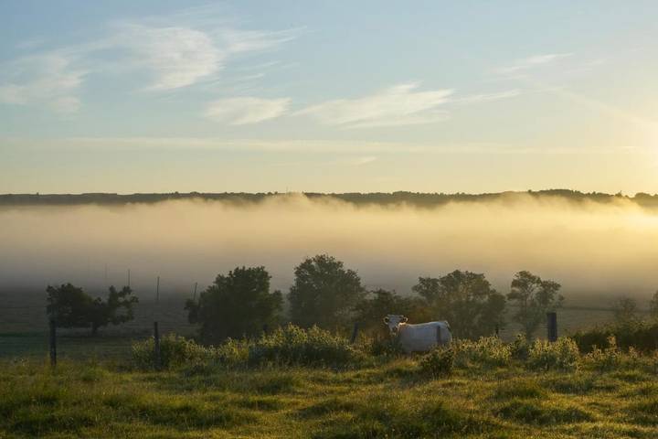 Hôtel pour 3 personnes, avec jardin, animaux acceptés à Iguerande - 4