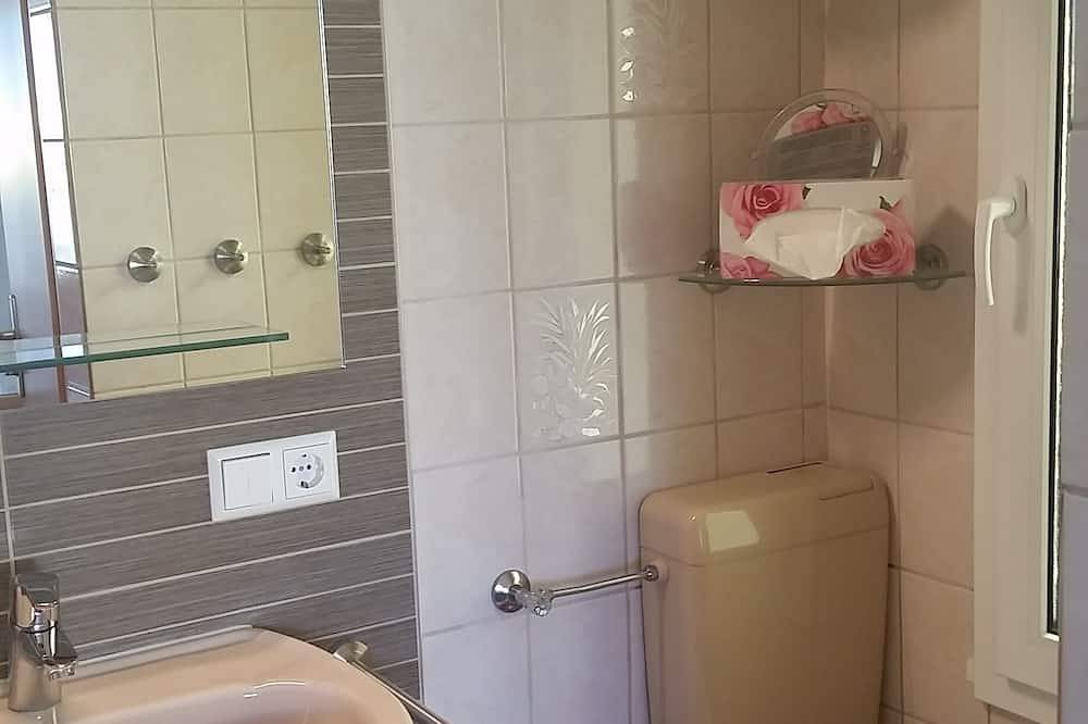 Ferienhaus in parkähnlichem Privatgrundstück in Auerbach, Chemnitz und Umgebung
