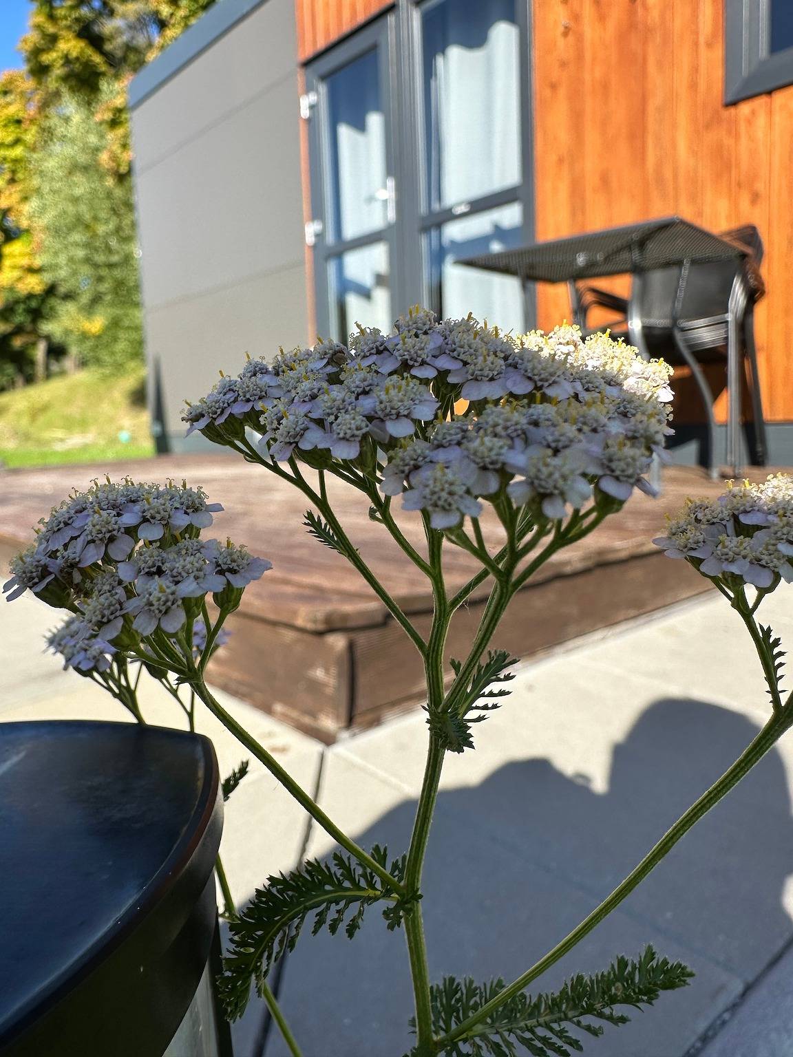 Tiny Home 'Laura' met bergzicht, wifi en airconditioning, foto 14
