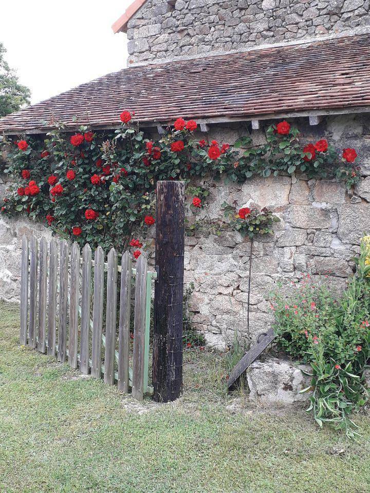 La Rivaille in Lussac-les-Églises, Bellac und Umgebung