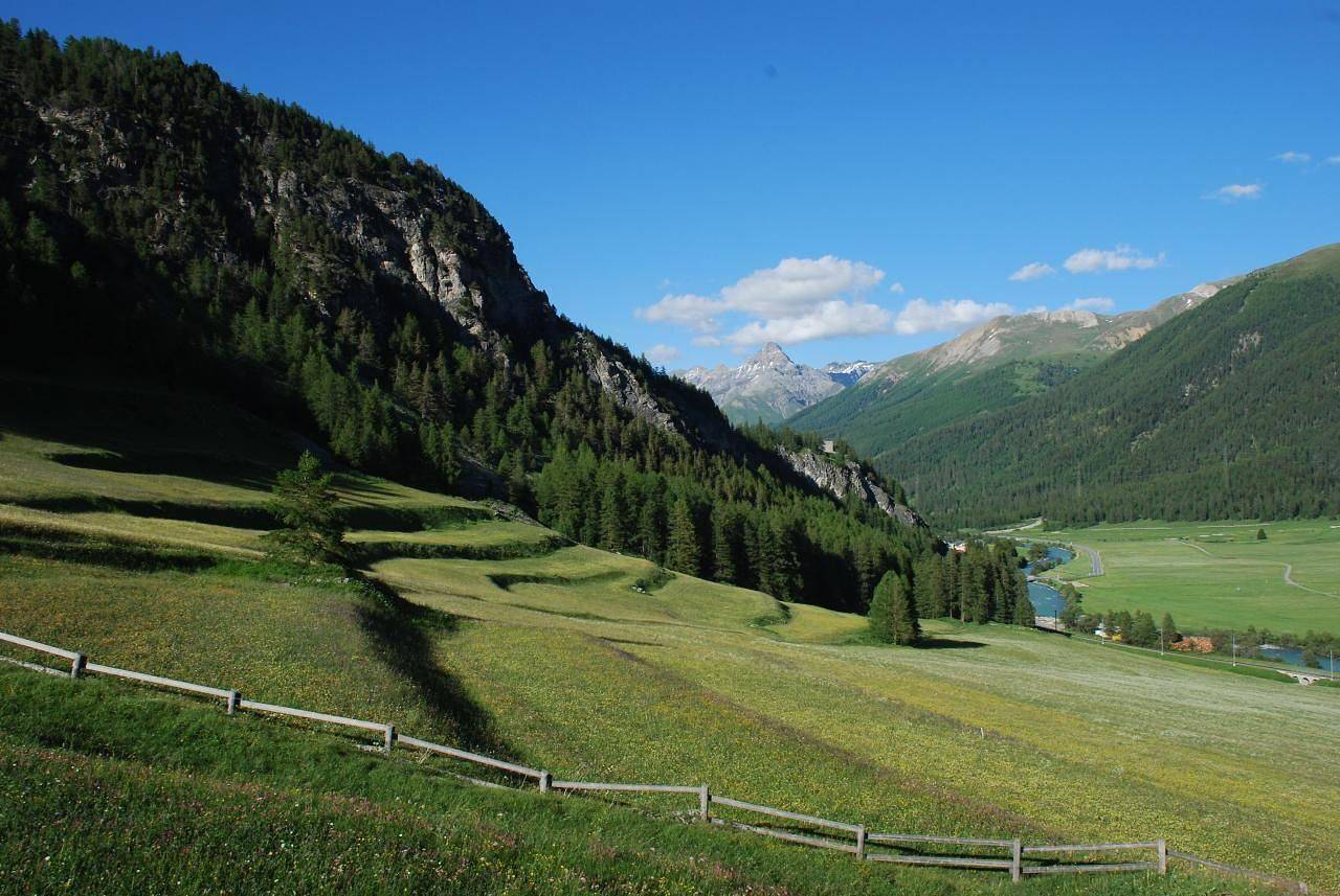 Ganze Ferienwohnung, Chesa Arnica 1 in La Punt-Chamues-ch, Oberengadin