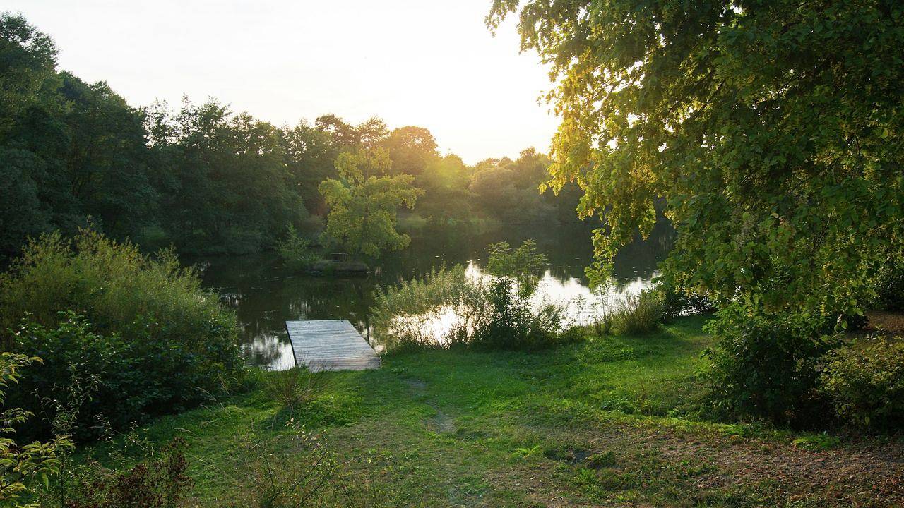 Ganze Ferienwohnung, Ferienwohnung für 4 Personen (85 m²) in Frankenau in Frankenau, Waldecker Land