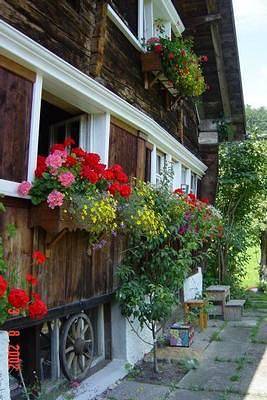 Ferienhaus «Hüsli» in Bodensee (Schweiz)