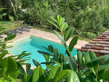 Gîte pour 12 personnes, avec jacuzzi et terrasse ainsi que jardin et piscine à Silhac