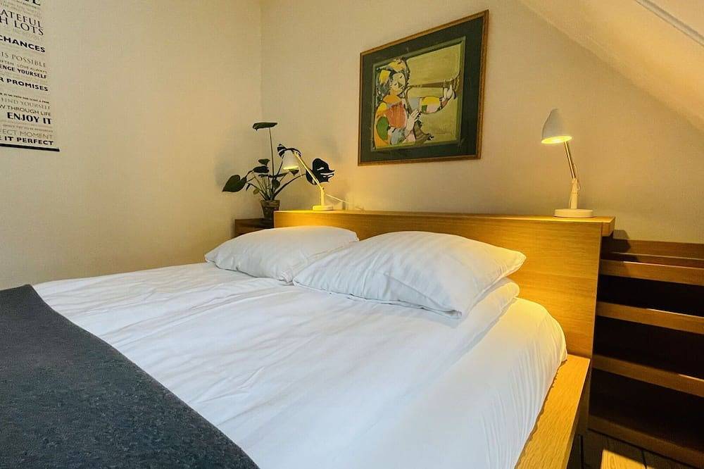 Ganze Wohnung, City Apartment in Dannemare mit 1 Schlafzimmern 2 Schlafplätzen in Kopenhagen Zentrum, Kopenhagen