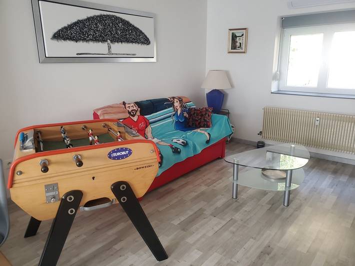 Appartement de vacances pour 4 personnes, avec terrasse et jardin, animaux acceptés dans le Haut-Rhin - 2