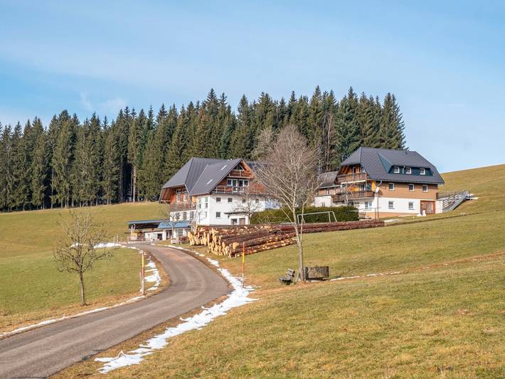 Ferienwohnung für 2 Personen, mit Garten und Terrasse, mit Haustier in Suedlicher Schwarzwald - 4