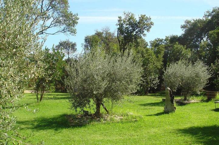 Casa de Vacaciones en Córcega Playa in Poggio-Mezzana, Región de Corte