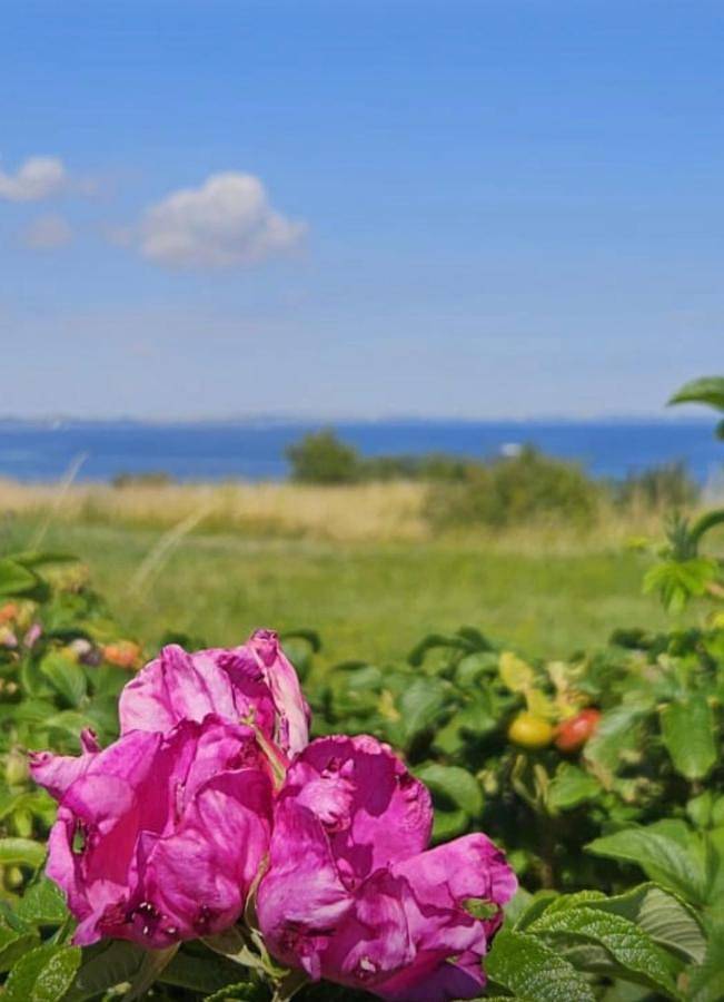 Ferienhaus für 6 Personen, mit Terrasse und Garten sowie Seeblick und Ausblick in Neukirchen - 3