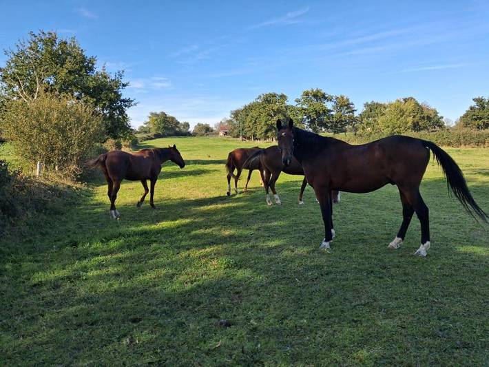 Gîte pour 4 personnes, avec terrasse et jardin à Pommiers (Loire)