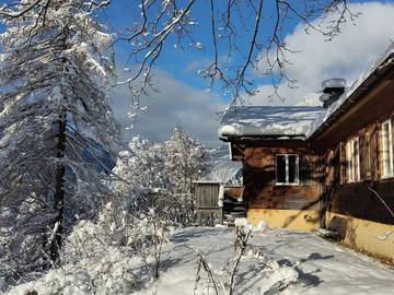 Villa für 9 Personen in Grindelwald, Kanton Bern, Bild 2