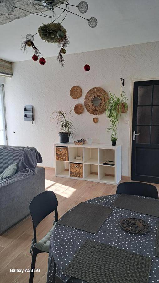 Gîte pour 4 personnes, avec piscine et jardin, animaux acceptés à Frossay - 4