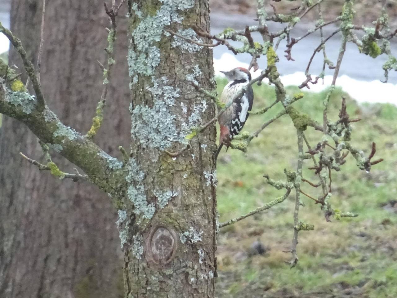 Ganze Ferienwohnung, Ferienwohnung Wehner in Seiferts, Ehrenberg