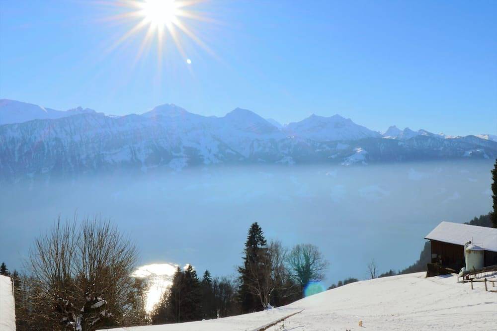 Ganze Wohnung, Panorama-Beatenberg: Luxurious holiday apartment  with spectacular views in Beatenberg, Thunersee