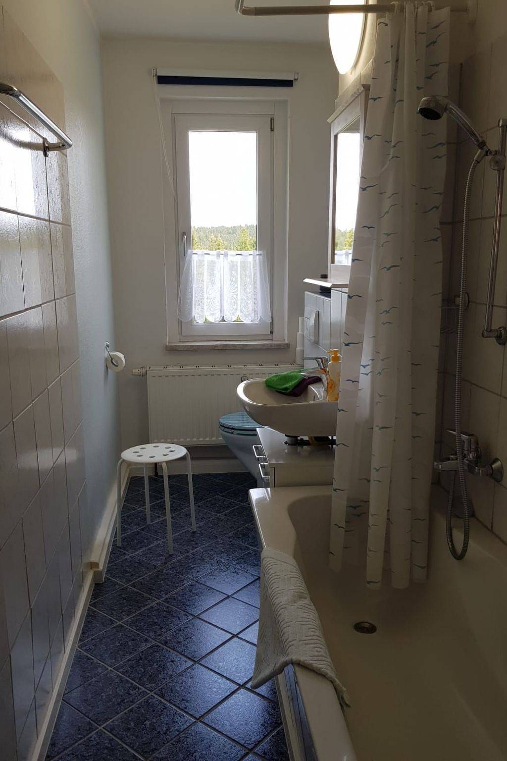 Ganze Wohnung, Fewo "Kranichsee Wgh in Eibenstock, Erzgebirge