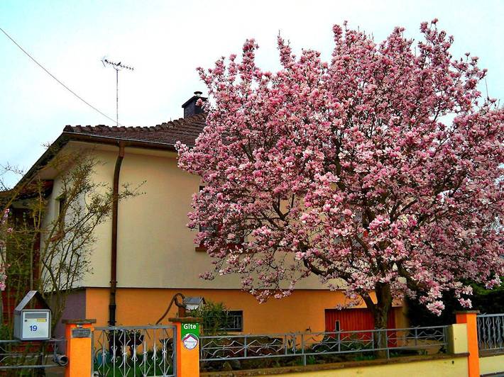 Gîte pour 4 personnes, avec jardin et terrasse à Jebsheim