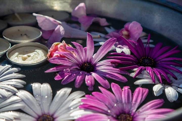 Gîte pour 3 personnes, avec vue et terrasse, animaux acceptés dans Lingueglietta - 2