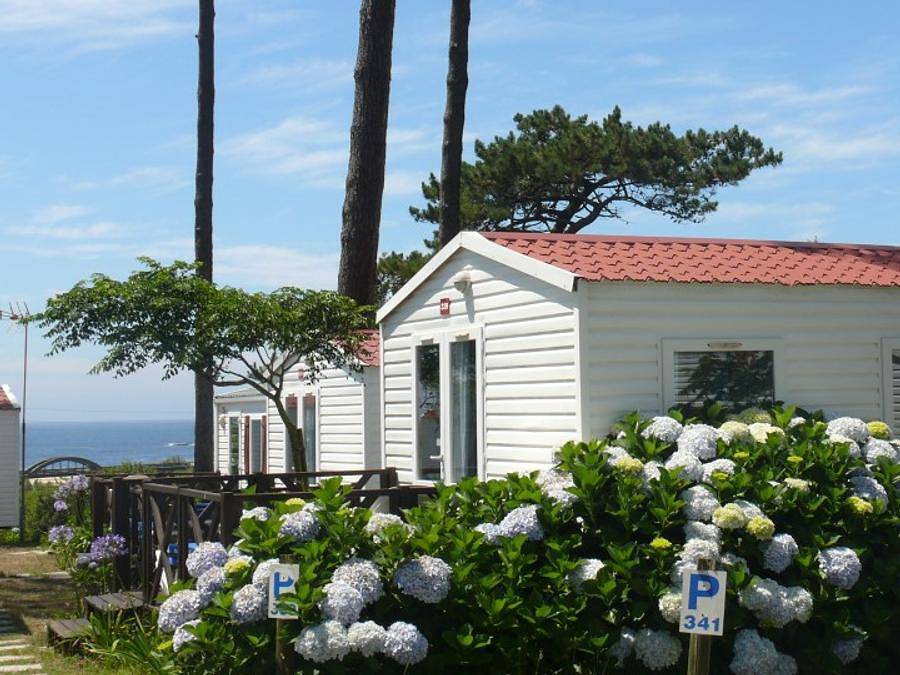 Camping Angeiras - Mobilhome 2 personas - Venus in Lavra, Perafita, Lavra e Santa Cruz do Bispo