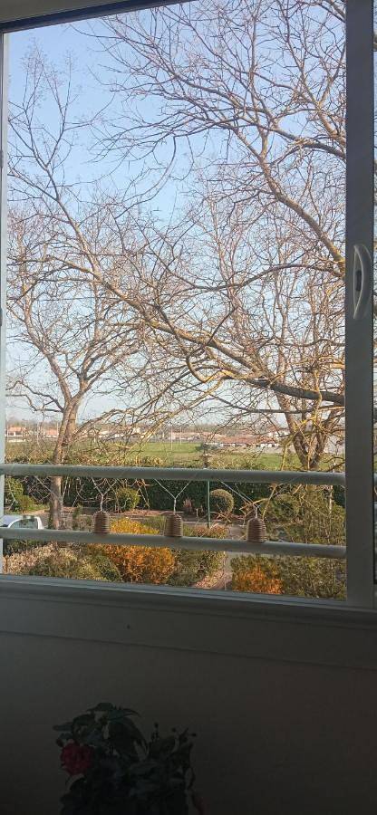 Gîte pour 4 personnes, avec Balcon et Terrasse ainsi que Jardin et Piscine à Marans - 4