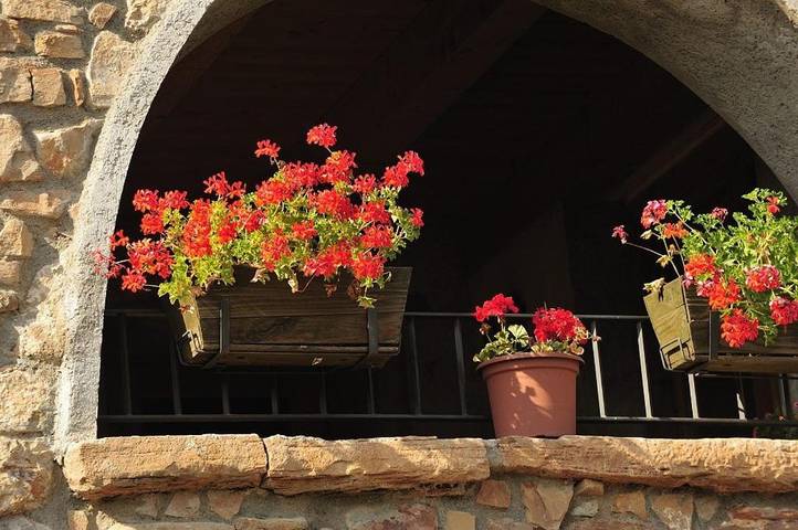 Casa rural para 18 personas, con vistas además de jardín y piscina en Noguera - 2