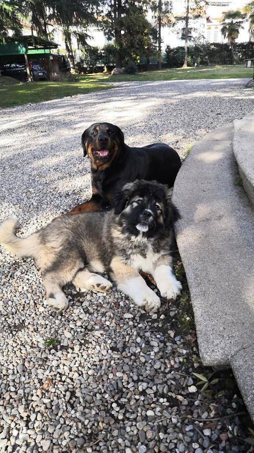 Chambre d’hôte pour 3 personnes, avec jardin, adapté aux familles à Varèse - 4