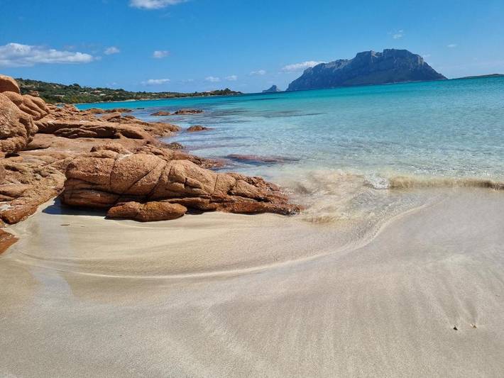 Ferienwohnung für 4 Personen, mit Terrasse - 1