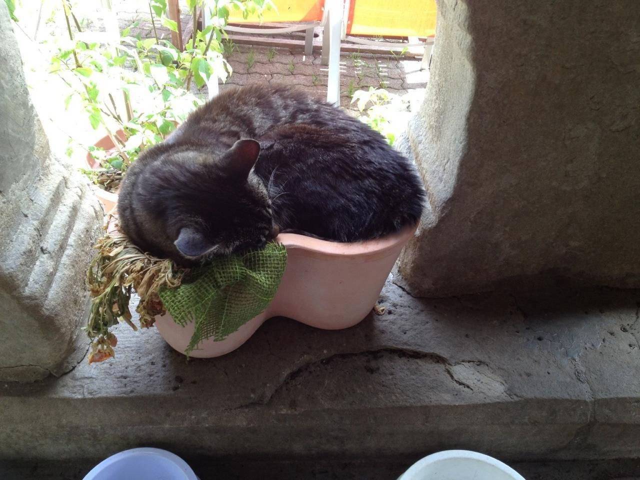 Entire apartment, Henggeler in Oberägeri, Western Alps