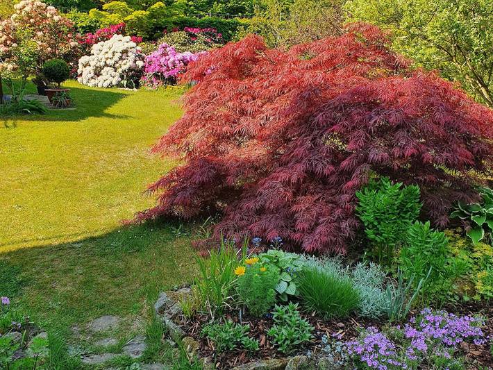 Ferienwohnung für 5 Personen, mit Terrasse in Gohrisch - 4