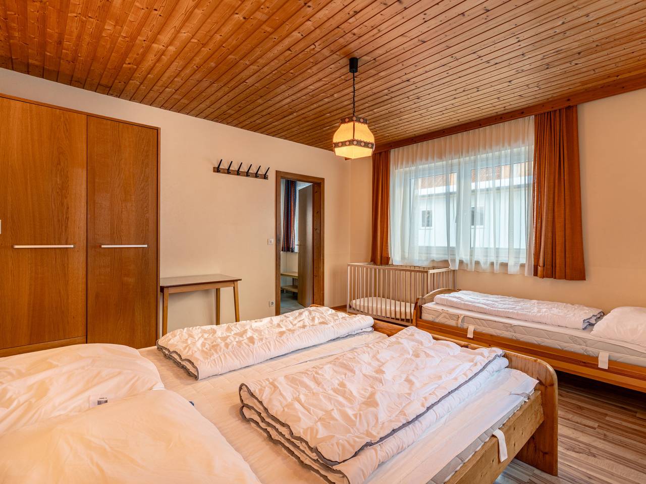 Pilz in Rohrmoos, Schladming-Dachstein