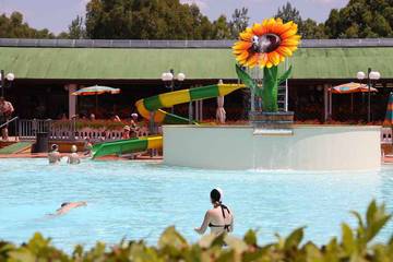 Glamping for 7 People in Bibbona, Livorno Province, Photo 4