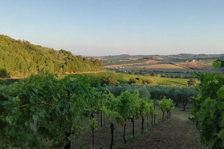 Appartamento intero, Vacanze in Toscana con piscina 2 in Poggibonsi, Chianti