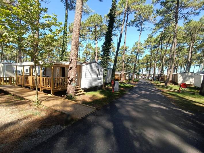 Camping pour 5 personnes, avec piscine et jacuzzi ainsi que jardin et sauna à Seignosse - 4