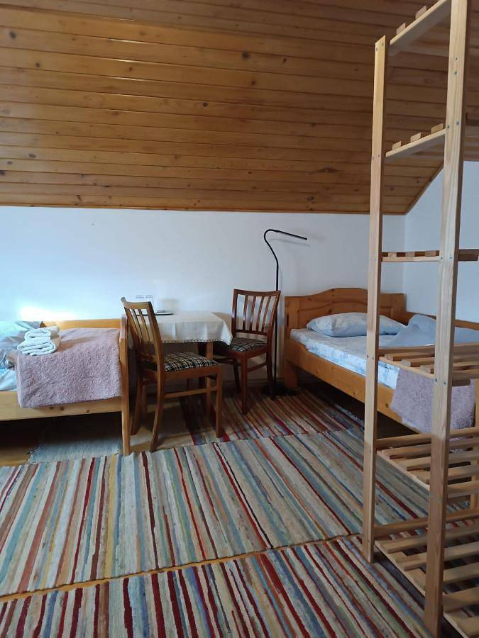 Maison d’hôte pour 2 personnes, avec vue et jardin dans Porumbacu de Sus - 2