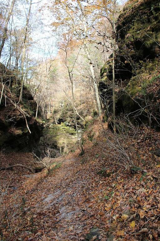 Ferienhaus für 10 Personen, mit Garten, mit Haustier - 1