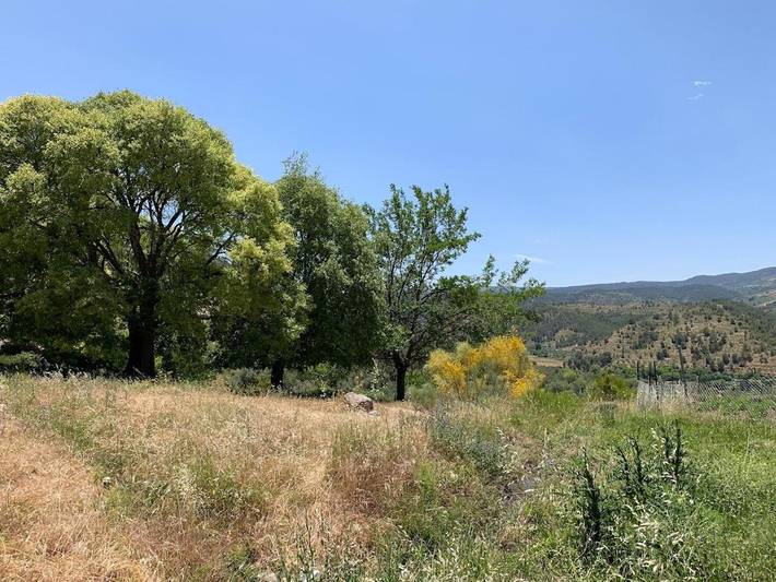 Casa rural para 8 personas, con jardín y vistas en Nerpio - 3