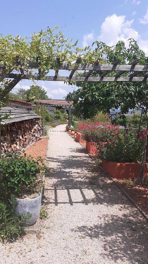 Double Room with Patio in Saint-Racho, Région de Charolles
